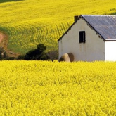 CABA (Cape Agulhas Business Association) - Napier