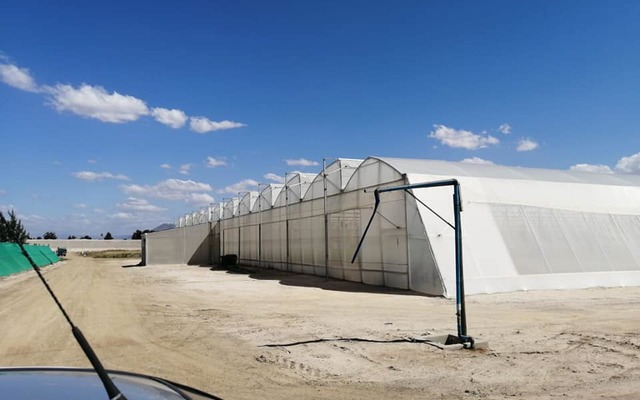 72845090_986959054987428_3161765476602740736_n_1571120756