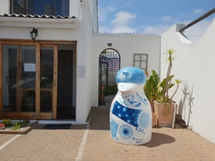 Gaia - Our Penguin Advocate at Saxon Lodge