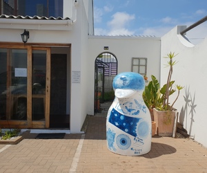 Gaia - Our Penguin Advocate at Saxon Lodge