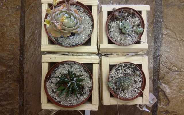 WhatsApp_Image_2019_10_17_at_13.34.47_1571317677 WhatsApp_Image_2019_10_17_at_13.34.47_1571317677