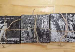 Stunning New Coasters 