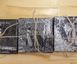 Stunning New Coasters 