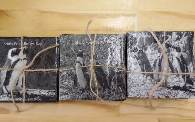 WhatsApp_Image_2019_10_18_at_09.45.00_1571386907 WhatsApp_Image_2019_10_18_at_09.45.00_1571386907