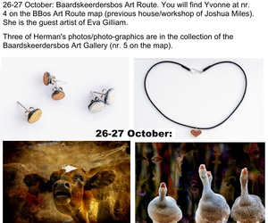 Baardskeerdersbos Art Route (26 - 27 October 2019)
