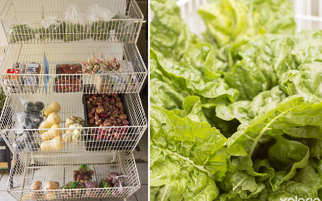 napier_speciality_shop_die_melkstal_fresh_grown_veggies_1543909632_1571918374 napier_speciality_shop_die_melkstal_fresh_grown_veggies_1543909632_1571918374