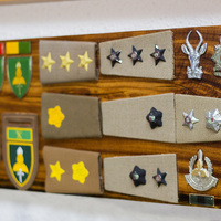 Ranks - M.O.T.H. Seagull Shellhole Hermanus