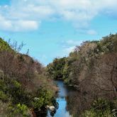 Betty's Bay - Harold Porter Botanical Gardens - River