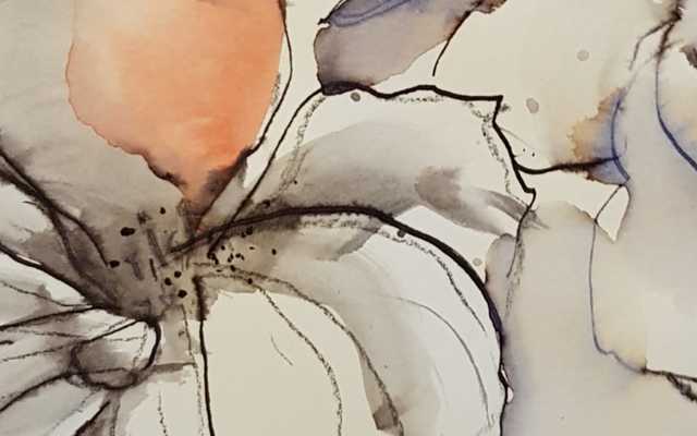 WhatsApp_Image_2019_10_29_at_21.46.48_1572421648