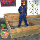 Vegetable Plant Boxes - M+S Designs - Gansbaai