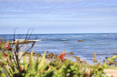 hermanus_rental_agent_butlers_holiday_home_managers_the_view_of_some_homes_1572448160