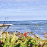 Hermanus - Butlers Holiday Home Managers - View of Some Homes