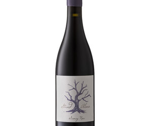 What's happening at Wine and Co. 1 November 2019