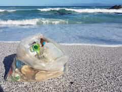 Passionate about the ocean and keeping it clean!