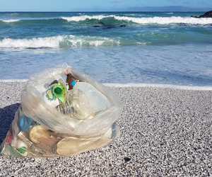 Passionate about the ocean and keeping it clean!