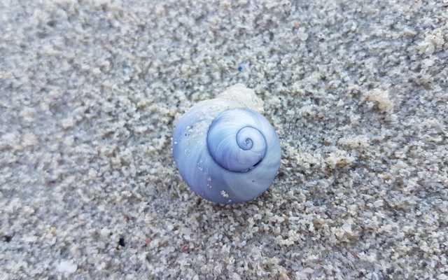 WhatsApp_Image_2019_10_31_at_09.26.06_1_1572527025