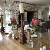 Fynbos - Blue Goose - Gansbaai