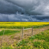Agulhas/Struisbaai - Chas Everitt Cape Agulhas - Stefan Smit Photography