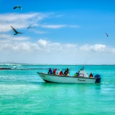 Agulhas/Struisbaai Fishing Boat - Chas Everitt Cape Agulhas - Stefan Smit Photography