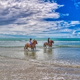 Agulhas/Struisbaai Horse Riding - Chas Everitt Cape Agulhas - Stefan Smit Photography
