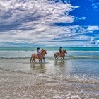 Agulhas/Struisbaai Horse Riding - Chas Everitt Cape Agulhas - Stefan Smit Photography Agulhas/Struisbaai Horse Riding - Chas Everitt Cape Agulhas - Stefan Smit Photography