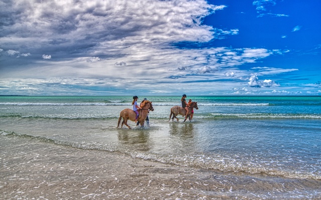 2018_12_08_11.28.27_1_1__1572854195