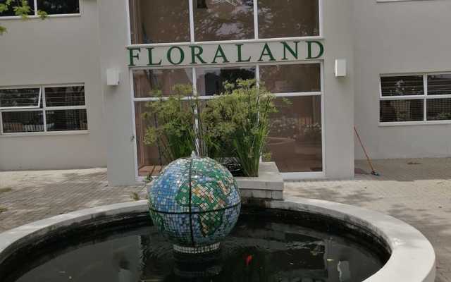 WhatsApp_Image_2019_11_01_at_14.00.12_1572855307