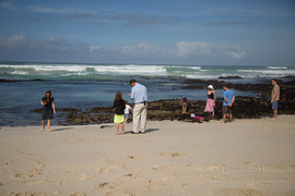 The Perfect Family Getaway