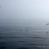 Photo of the day - We're not alone!