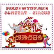 Pikkewyntjies Circus Concert - 25 November 2019