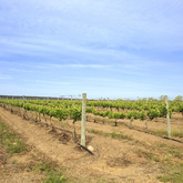 Stanford Wine Route - Farms