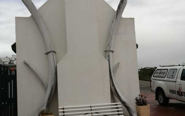 WhatsApp_Image_2019_11_08_at_05.39.41_1573196451