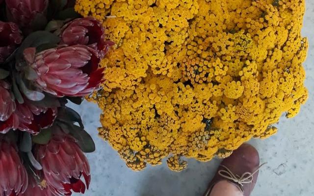 WhatsApp_Image_2019_11_10_at_18.51.45_1__1573452682