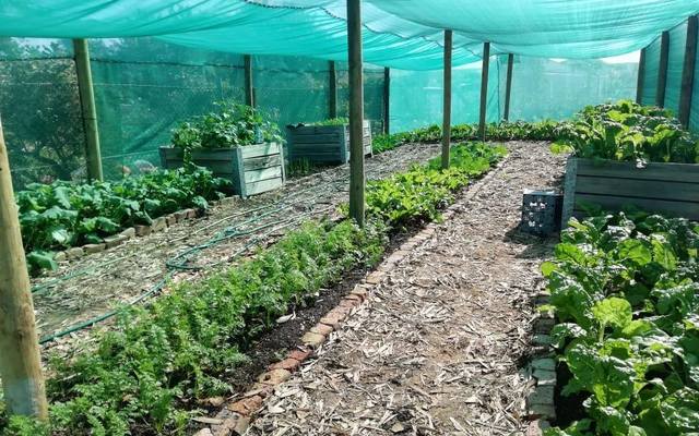 74479791_3328359230537619_366090475301502976_o_1573477037