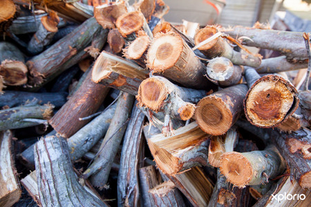 struisbaai_charlies_transport_movers_wood_supply_close_up_1549616378_1573539812