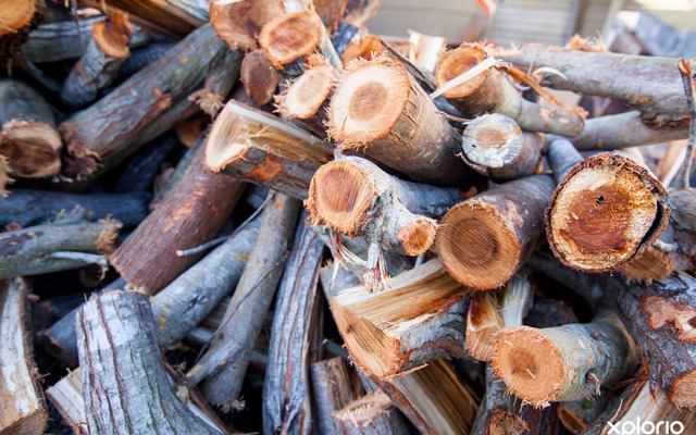 struisbaai_charlies_transport_movers_wood_supply_close_up_1549616378_1573539812