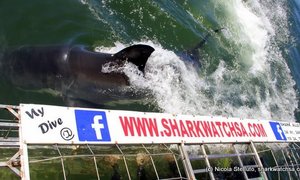 Photo of the day - Close encounter!