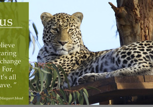 Support Our Big Online Fundraising Auction