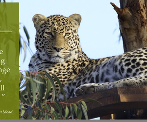 Support Our Big Online Fundraising Auction