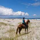 Beach Horse Riding - African Horse Company - Stanford
