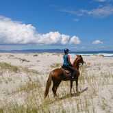 Beach Horse Riding - African Horse Company - Stanford