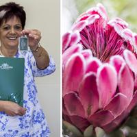 House Sales - Pam Golding Properties Gansbaai - Xplorio™ Gansbaai 