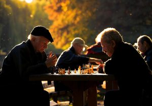 Individuals in the beginning stages of dementia