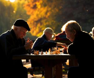 Individuals in the beginning stages of dementia