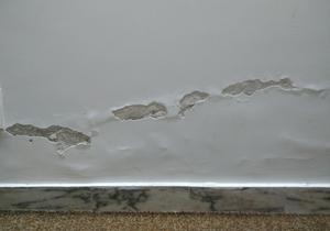Damp Proofing Experts