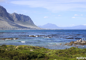 Things to do in Betty’s Bay