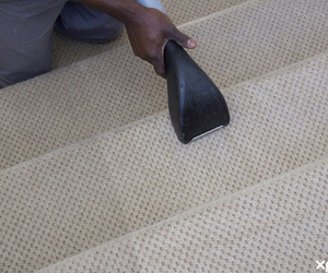 Cleaners of Carpets, Rugs, Upholstery and Blinds