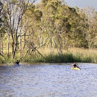 Stanford - River Rat Boat Cruises - Canoes For Hire