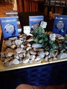 Congratulations Francois de Jongh