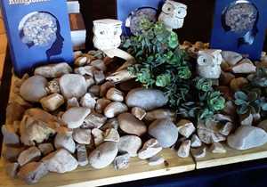 Congratulations Francois de Jongh